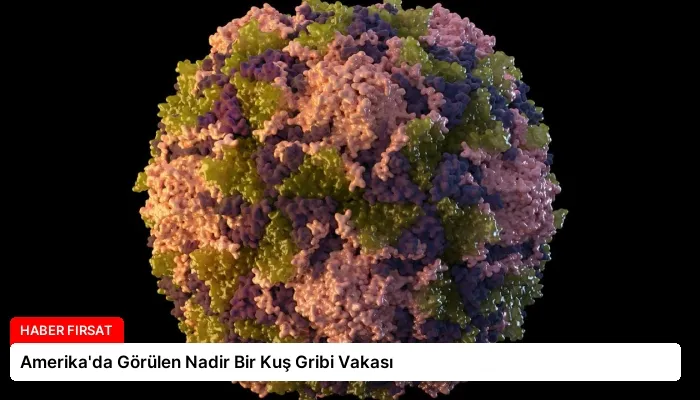 Amerika’da Görülen Nadir Bir Kuş Gribi Vakası