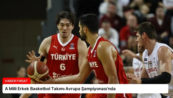 A Milli Erkek Basketbol Takımı Avrupa Şampiyonası’nda