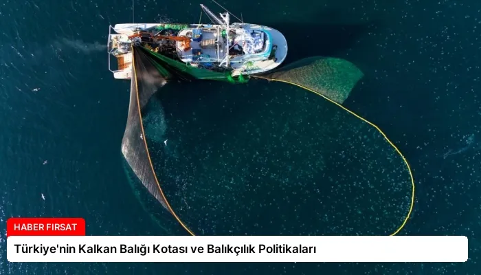 Türkiye’nin Kalkan Balığı Kotası ve Balıkçılık Politikaları