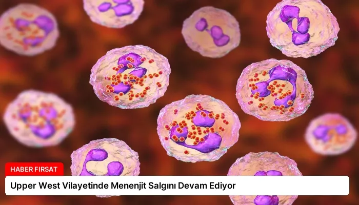 Upper West Vilayetinde Menenjit Salgını Devam Ediyor