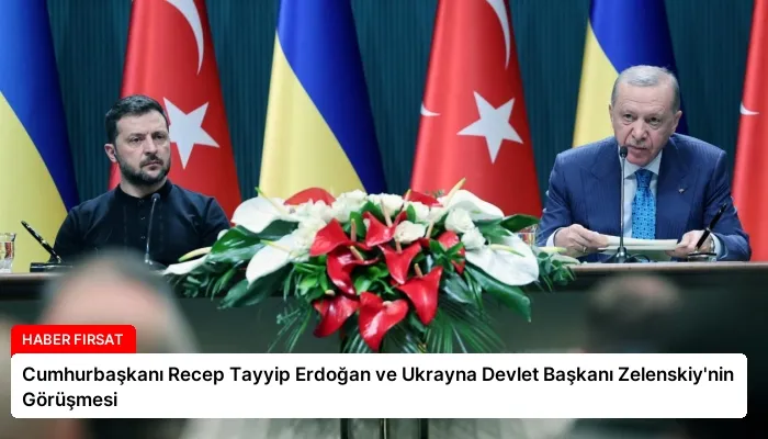 Cumhurbaşkanı Recep Tayyip Erdoğan ve Ukrayna Devlet Başkanı Zelenskiy’nin Görüşmesi