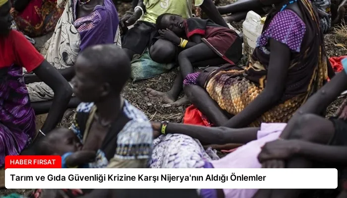 Tarım ve Gıda Güvenliği Krizine Karşı Nijerya’nın Aldığı Önlemler
