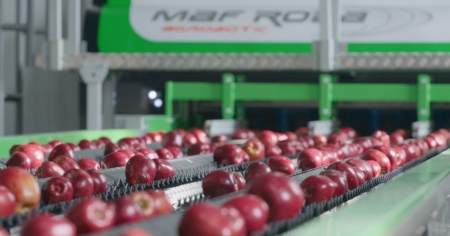 Endüstriyel makinada yerli güç, 60. yılında geleceğe odaklandı 