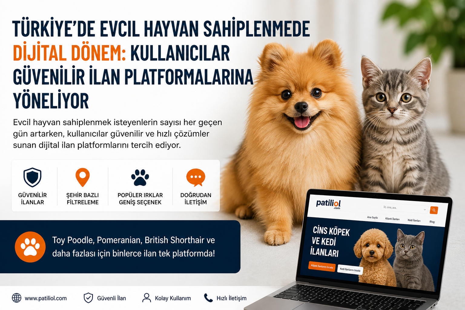 Türkiye’de Evcil Hayvan Sahiplenmede Dijital Dönem: Kullanıcılar Güvenilir İlan Platformlarına Yöneliyor