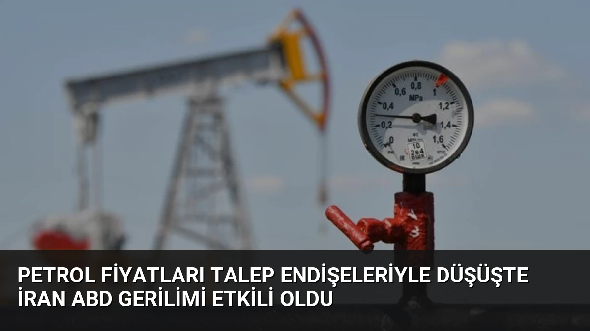 Petrol Fiyatları Talep Endişeleriyle Düşüşte İran ABD Gerilimi Etkili Oldu