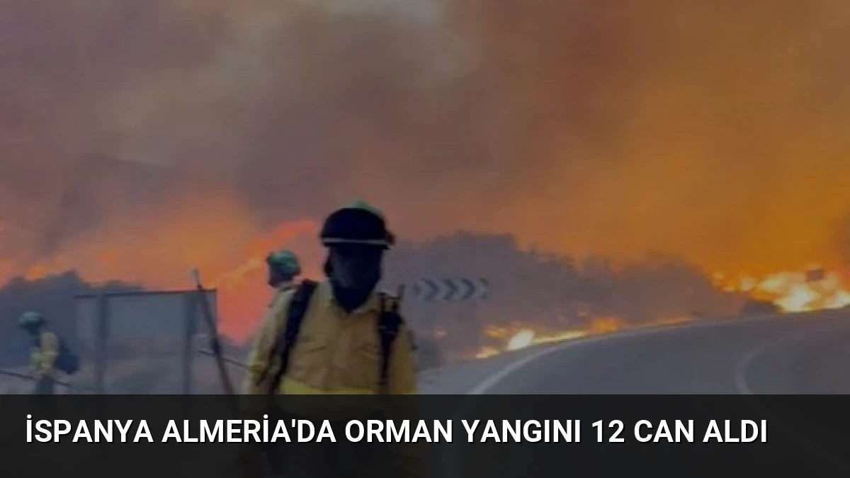 İspanya Almeria’da Orman Yangını 12 Can Aldı