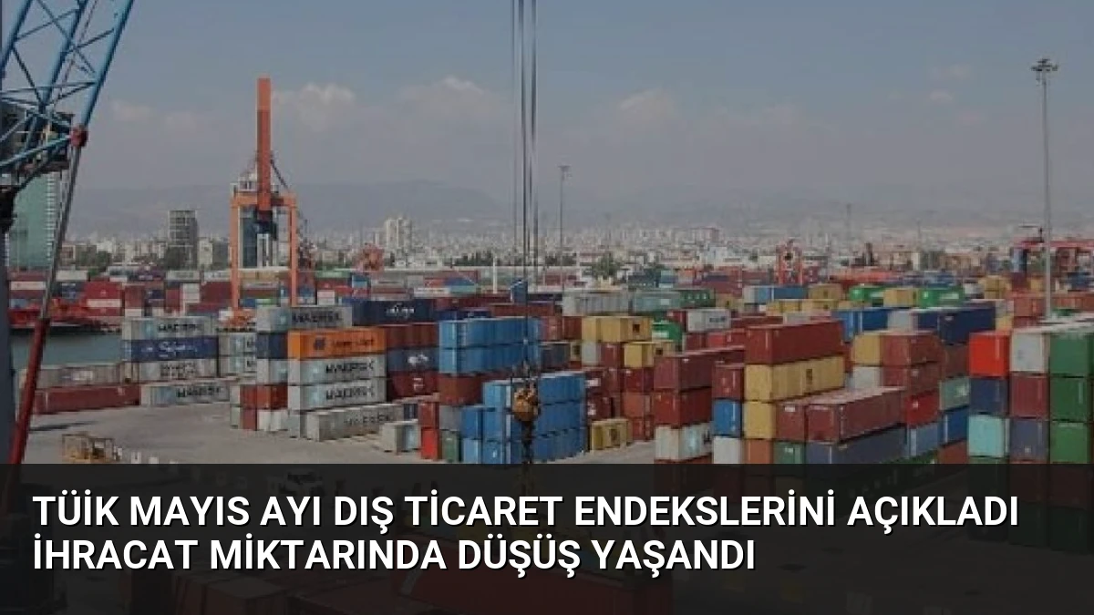 TÜİK Mayıs Ayı Dış Ticaret Endekslerini Açıkladı İhracat Miktarında Düşüş Yaşandı