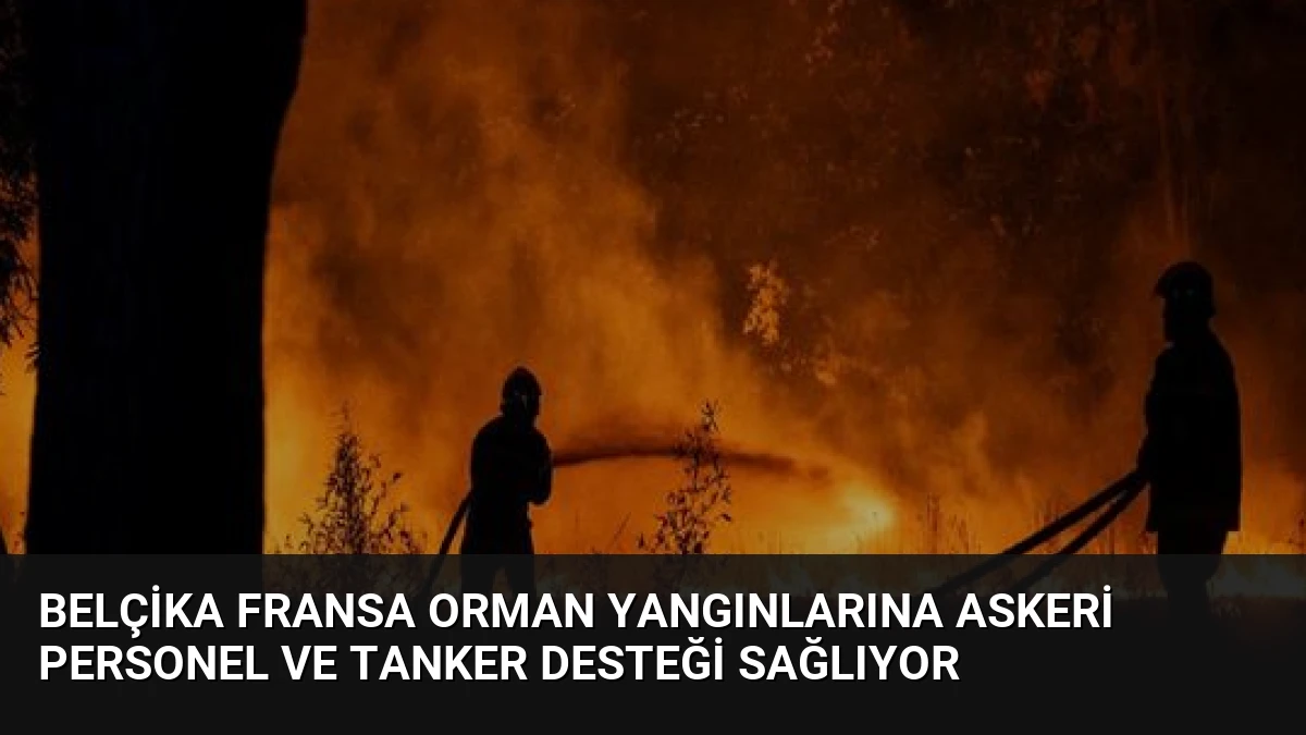 Belçika Fransa Orman Yangınlarına Askeri Personel ve Tanker Desteği Sağlıyor