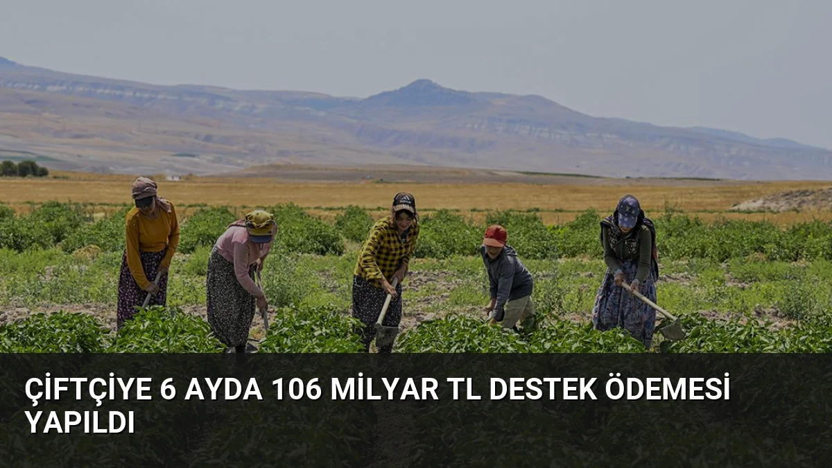 Çiftçiye 6 Ayda 106 Milyar TL Destek Ödemesi Yapıldı