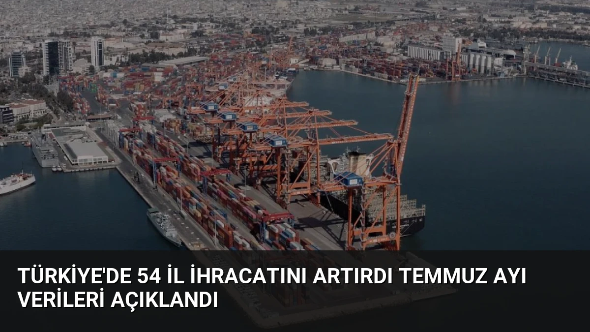 Türkiye’de 54 İl İhracatını Artırdı Temmuz Ayı Verileri Açıklandı
