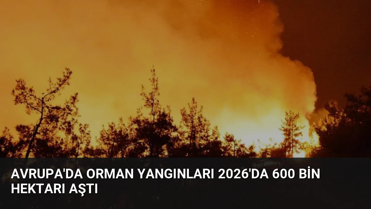 Avrupa’da Orman Yangınları 2026’da 600 Bin Hektarı Aştı