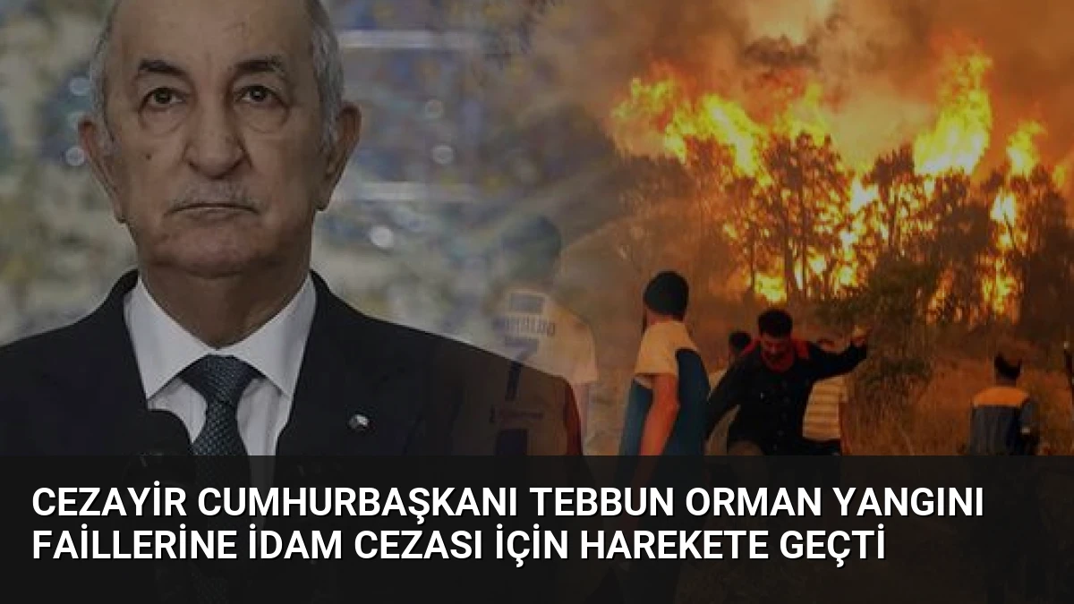 Cezayir Cumhurbaşkanı Tebbun Orman Yangını Faillerine İdam Cezası İçin Harekete Geçti