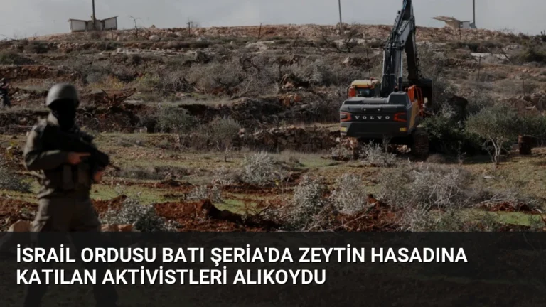 İsrail Ordusu Batı Şeria’da Zeytin Hasadına Katılan Aktivistleri Alıkoydu
