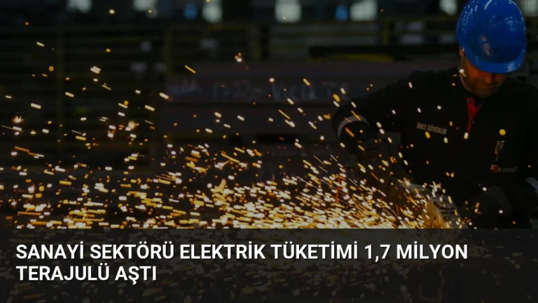 Sanayi Sektörü Elektrik Tüketimi 1,7 Milyon Terajulü Aştı